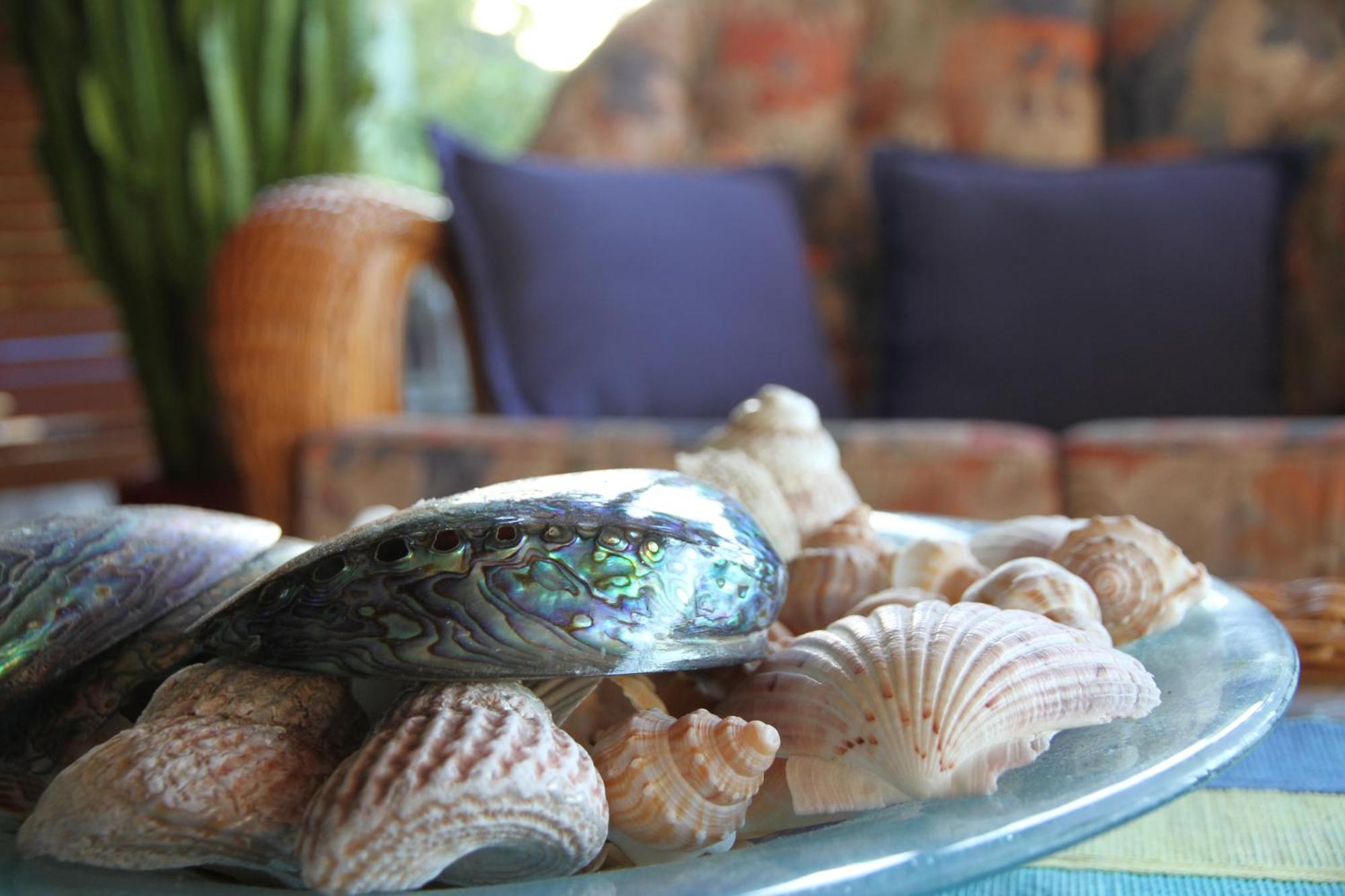 Chalet Romantica Paihia Dış mekan fotoğraf
